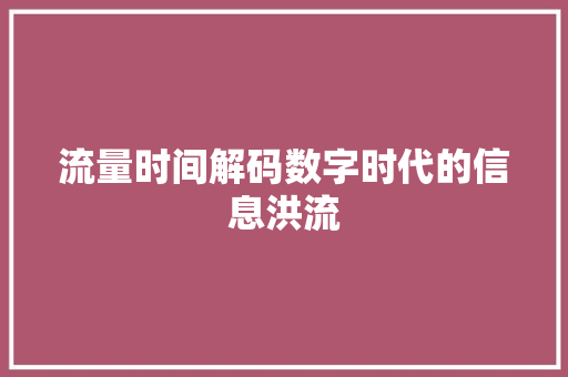 流量时间解码数字时代的信息洪流