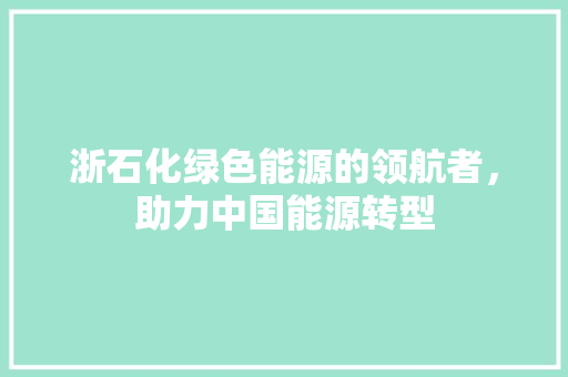 浙石化绿色能源的领航者，助力中国能源转型