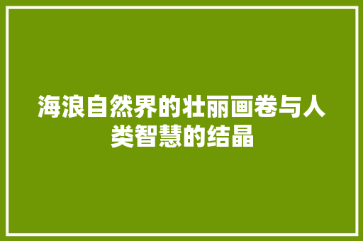 海浪自然界的壮丽画卷与人类智慧的结晶