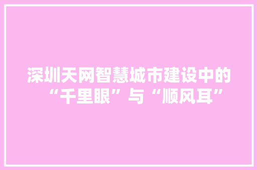 深圳天网智慧城市建设中的“千里眼”与“顺风耳”