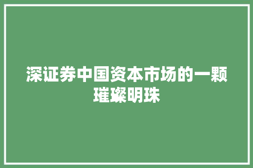 深证券中国资本市场的一颗璀璨明珠