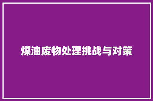 煤油废物处理挑战与对策