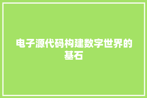 电子源代码构建数字世界的基石