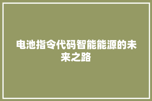 电池指令代码智能能源的未来之路