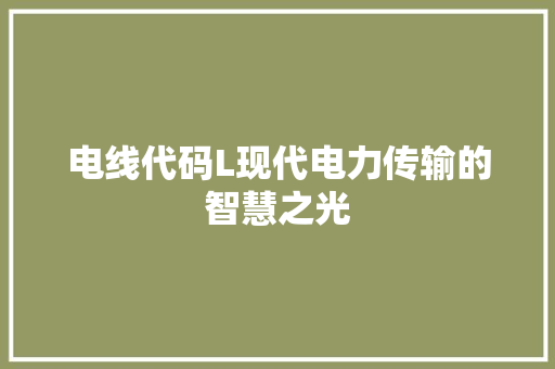 电线代码L现代电力传输的智慧之光