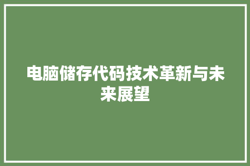 电脑储存代码技术革新与未来展望