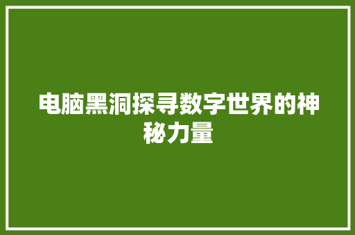 电脑黑洞探寻数字世界的神秘力量