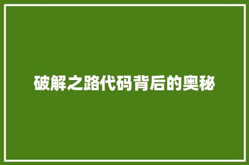 破解之路代码背后的奥秘