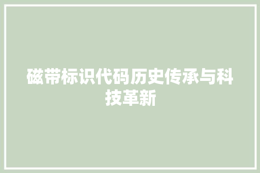 磁带标识代码历史传承与科技革新