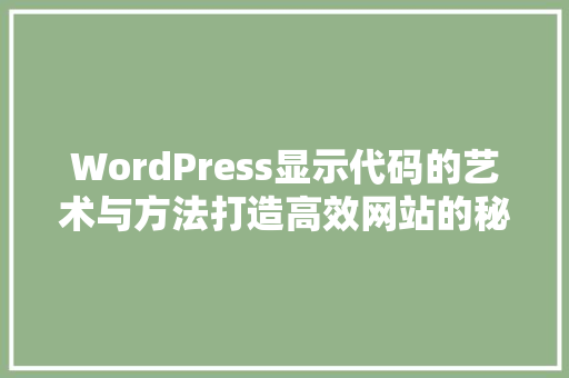 WordPress显示代码的艺术与方法打造高效网站的秘密武器