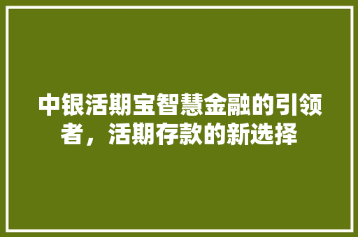 中银活期宝智慧金融的引领者，活期存款的新选择