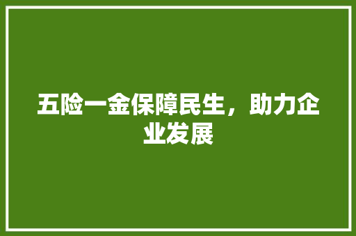 五险一金保障民生，助力企业发展