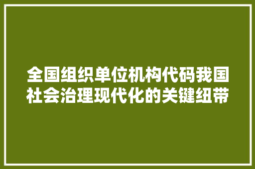 全国组织单位机构代码我国社会治理现代化的关键纽带