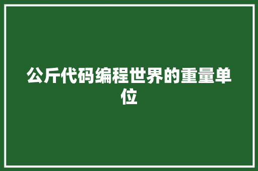 公斤代码编程世界的重量单位