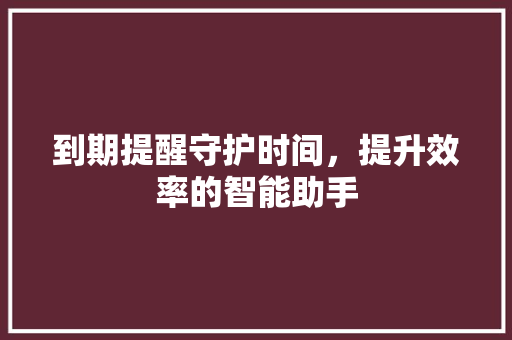 到期提醒守护时间，提升效率的智能助手