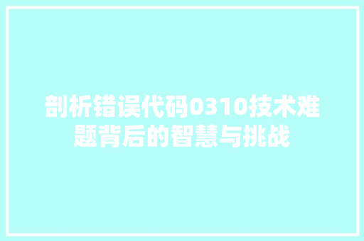 剖析错误代码0310技术难题背后的智慧与挑战