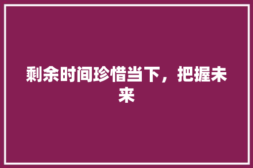 剩余时间珍惜当下，把握未来