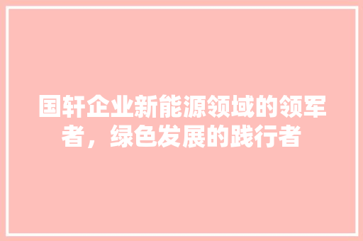 国轩企业新能源领域的领军者，绿色发展的践行者