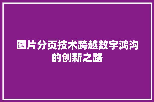 图片分页技术跨越数字鸿沟的创新之路