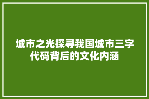 城市之光探寻我国城市三字代码背后的文化内涵