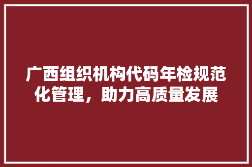 广西组织机构代码年检规范化管理，助力高质量发展