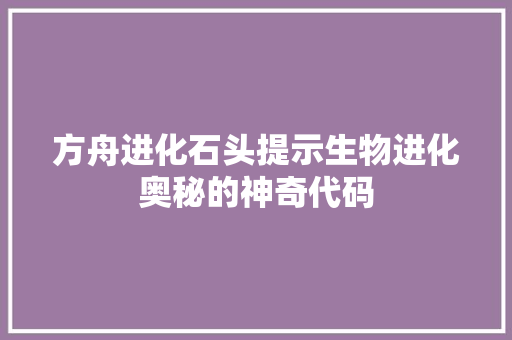 方舟进化石头提示生物进化奥秘的神奇代码