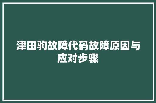 津田驹故障代码故障原因与应对步骤