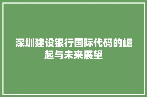 深圳建设银行国际代码的崛起与未来展望