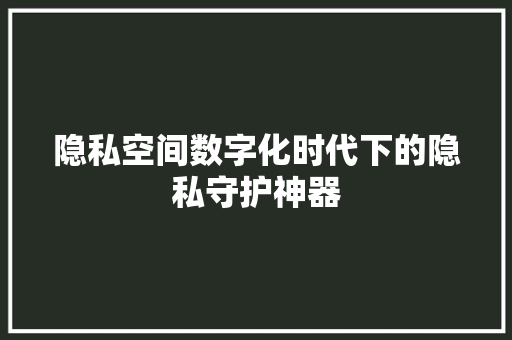 隐私空间数字化时代下的隐私守护神器