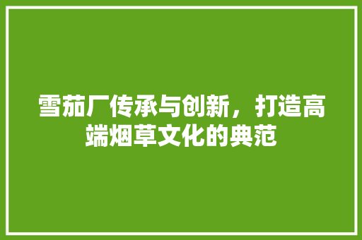 雪茄厂传承与创新，打造高端烟草文化的典范