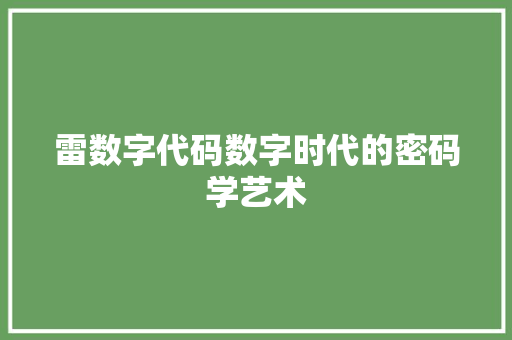 雷数字代码数字时代的密码学艺术