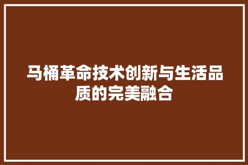 马桶革命技术创新与生活品质的完美融合