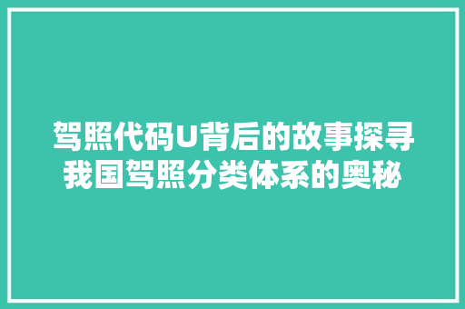 驾照代码U背后的故事探寻我国驾照分类体系的奥秘