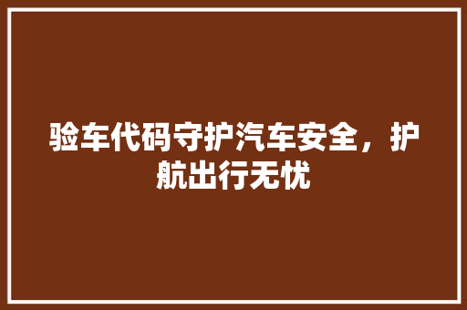 验车代码守护汽车安全，护航出行无忧