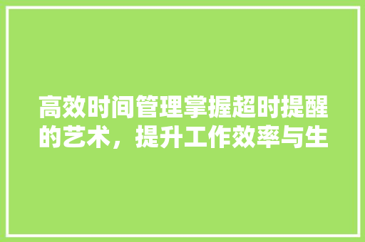 高效时间管理掌握超时提醒的艺术，提升工作效率与生活质量