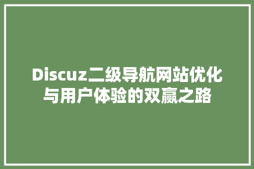 Discuz二级导航网站优化与用户体验的双赢之路