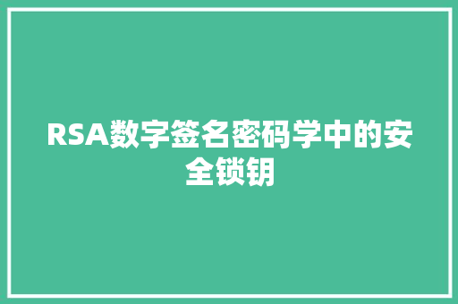 RSA数字签名密码学中的安全锁钥