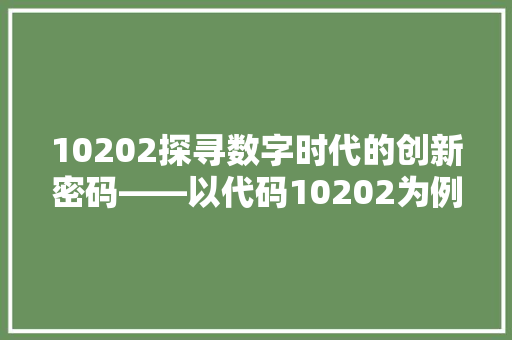 10202探寻数字时代的创新密码——以代码10202为例