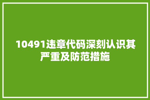 10491违章代码深刻认识其严重及防范措施