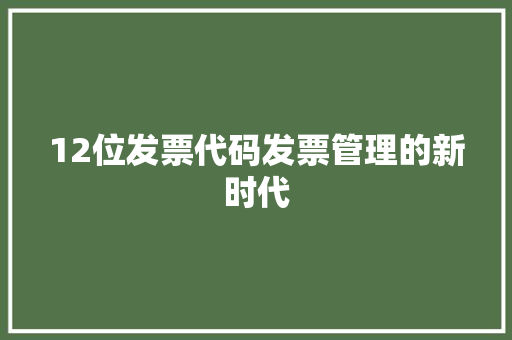 12位发票代码发票管理的新时代