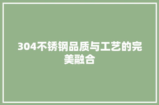 304不锈钢品质与工艺的完美融合