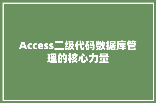 Access二级代码数据库管理的核心力量