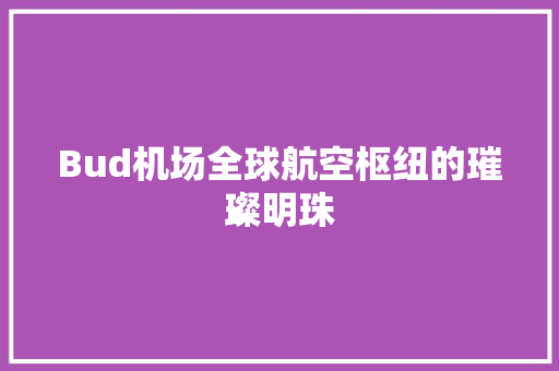 Bud机场全球航空枢纽的璀璨明珠