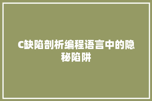 C缺陷剖析编程语言中的隐秘陷阱