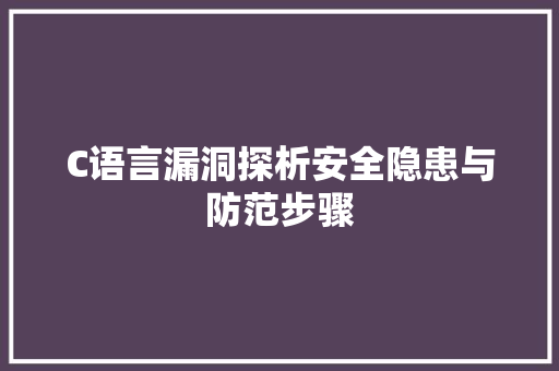 C语言漏洞探析安全隐患与防范步骤