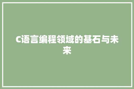 C语言编程领域的基石与未来