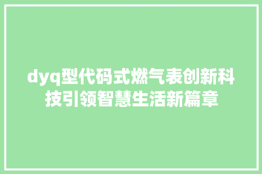 dyq型代码式燃气表创新科技引领智慧生活新篇章