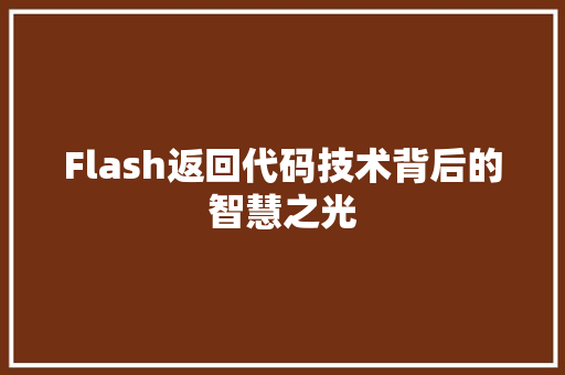 Flash返回代码技术背后的智慧之光