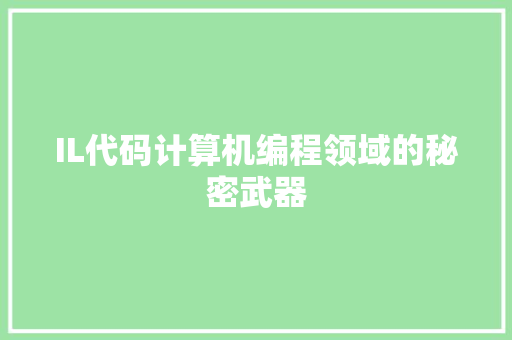 IL代码计算机编程领域的秘密武器