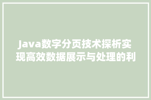 Java数字分页技术探析实现高效数据展示与处理的利器